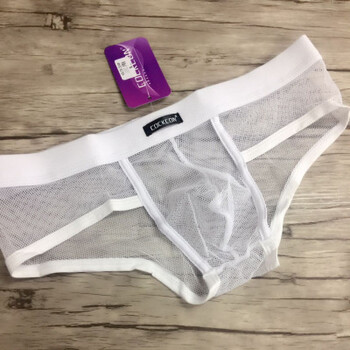 夏季潮全透明网纱男士三角内裤网眼性感冰丝大码透气u凸情趣 白色 l