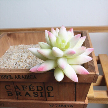 仿真多肉植物 ,pvc仿真花厂家直销,仿真植物diy用品派 植绒白色红边