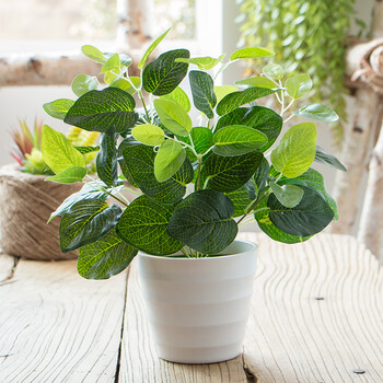 仿真绿萝盆栽室内外装饰塑料盆栽假植物仿真花草装饰仿真植物摆件 大