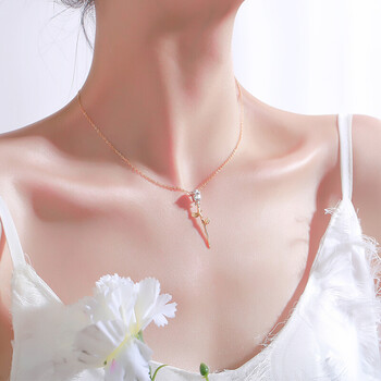 亿贝琳s银项链女纯银锁骨链简约气质韩版创意森系网红短款玫瑰花 k