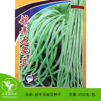 金龍 航丰无架豆种子 蔬菜种子 矮生豆角种籽 不搭架豇豆菜籽 耐热20g