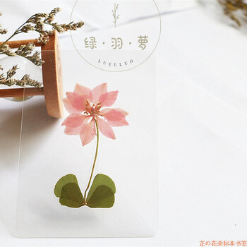 绿羽萝天然植物干花真花塑封手工书签学生朋友创意小奖品礼物抖音同款