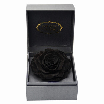 厄瓜多尔巨型玫瑰永生花礼盒 重庆鲜花速递送女友生日礼物 黑色
