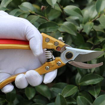 【天天】日本进口修枝剪果树粗枝剪花剪园林修剪树枝园艺剪刀 金色柄