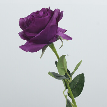 单支玫瑰 单支玫瑰 - 紫色