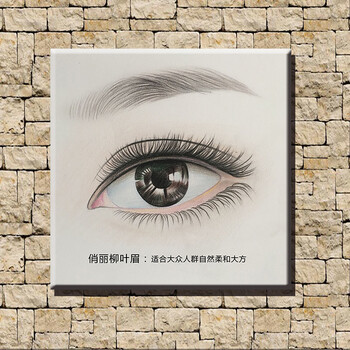 韩式半挂画手绘素描纹绣眉眼唇宣传海报美容院微整形装饰画墙 眉 g款