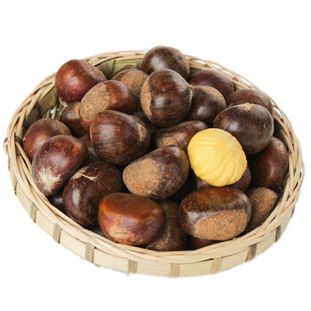 18年新鲜板栗 新鲜带壳生板栗 罗田板栗红壳500g