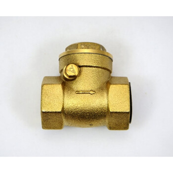 真空泵单向阀 止回阀 逆止阀(dn100 4寸 rc4)横向安装