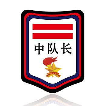 少先队标志中小队长两道杠一道杠大队委班干部袖章臂章标志 中队长(10