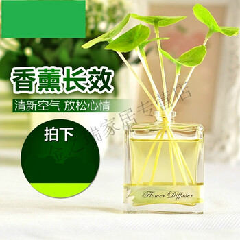 香水除味空气清新家用香氛香气香味持久男 小青荷香薰50ml 柠檬草