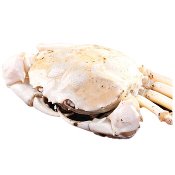 欧帆 加拿大鲜活白雪蟹 1kg_现价-1元