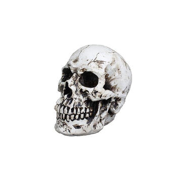 创意个性家居饰品骷髅头骨房间摆件雕塑教学模型装饰小摆件装饰品