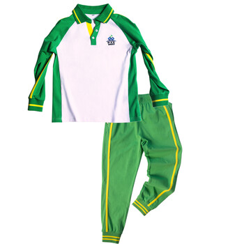 广州市番禺小学校服夏装新款绿色短袖体恤夏季短裤班服定制 男长袖