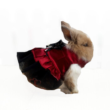 兔子衣服宠物兔小奶狗小兔子垂耳兔穿的衣服 秋冬款多款可选用品 小码