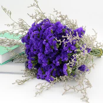 满天星干花 干花束勿忘我家居客厅摆件装饰套瓶满天星插扎大小清新025