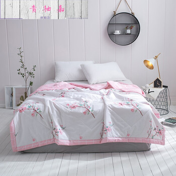 棉夏凉被夏被水洗棉花被空调被棉单人双人春秋薄被子被芯qu 红颜美人