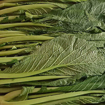 春菜(优质a)(23.5kg泡沫箱装)*100箱