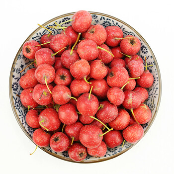 山东新鲜山楂果山里红棉球大金星生山楂水果5斤