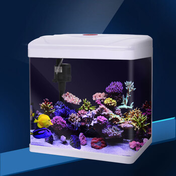 闽江金钻鱼缸水族箱迷你生态金鱼缸高清玻璃小型创意鱼缸龟缸造景 468