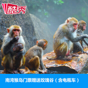 【超值购】海南景区自由行 南湾猴岛门票(含观