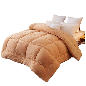 羊羔绒冬被加厚保暖被子冬季毛绒被芯单双人学生宿舍棉被春秋被褥 羊