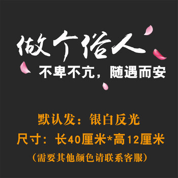 谈笑风生 银白 40x12厘米