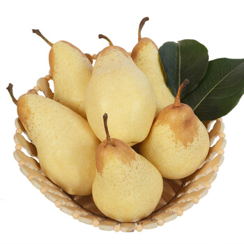 晋州长城 香蕉梨 贵妃梨 6-8个 净重约2kg 新鲜水果