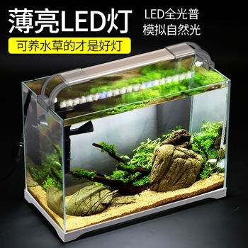 森森鱼缸灯led水草灯架水族箱照明灯led架灯鱼缸夹灯草缸灯水草灯水族照明设备adp500j配60 64cm鱼缸8w 图片价格品牌报价 京东