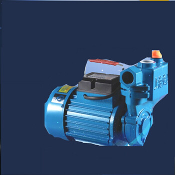 220v家用自吸泵自来水管道增压泵抽水泵静音洗车小型空调泵抽水机