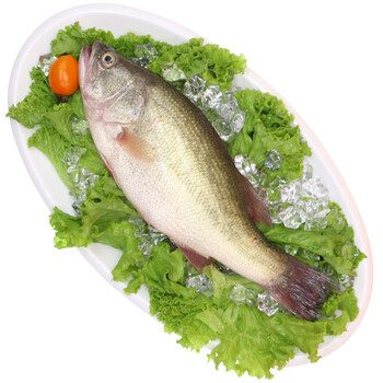 聚福鲜广东鲜活冷冻鲈鱼600800g1条