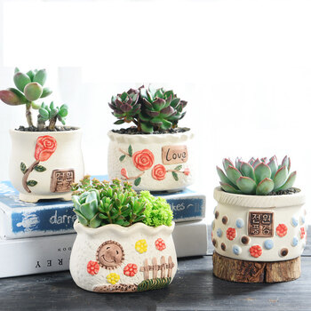 仟尚亿多肉花盆陶瓷批发个性简约室内大号肉肉植物创意粗陶紫砂小多肉花盆栽塑料花盆栽组合店长推荐4个盆中等 图片价格品牌报价 京东