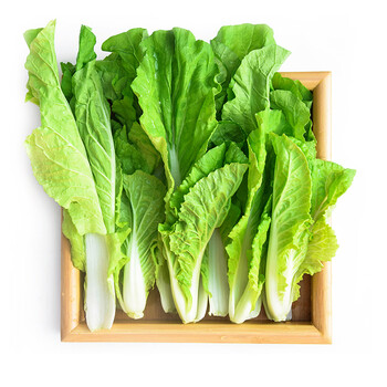 萱谊 杭白菜 毛毛菜 净菜 约300g 新鲜蔬菜