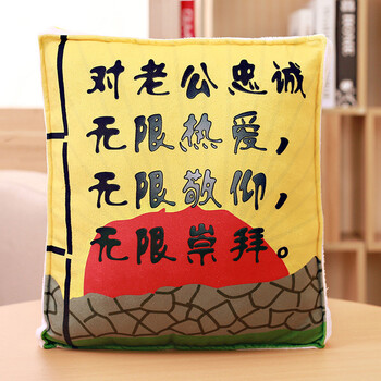 凯迪威创意抱枕搞笑抱枕 对老公忠诚 35cm*30cm两个