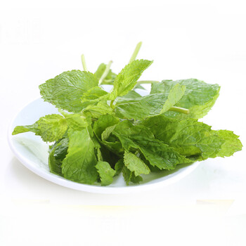 林格豪 新鲜薄荷叶香菜沙拉菜净菜可调酒鸡尾酒奶茶 500g