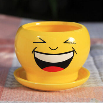 零空间 表情脸陶瓷花盆 炫酷qq表情 多肉花盆 卡通创意 笑脸花盆 迷你