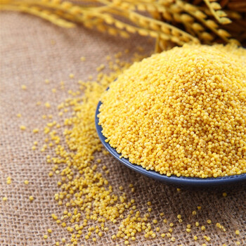 天地粮人 精品 杂粮组合(黄小米 绿豆)