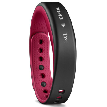 佳明（GARMIN）vivosmart  枚红色 智能运动手环腕带 50米防水 计步器蓝牙 睡眠监测 震动提醒