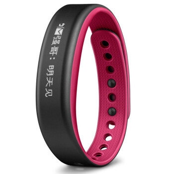 佳明（GARMIN）vivosmart  枚红色 智能运动手环腕带 50米防水 计步器蓝牙 睡眠监测 震动提醒