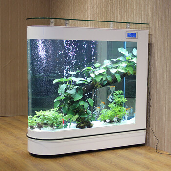 (送货入户)一米阳光 子弹头鱼缸水族箱客厅家用屏风隔断玻璃金鱼缸