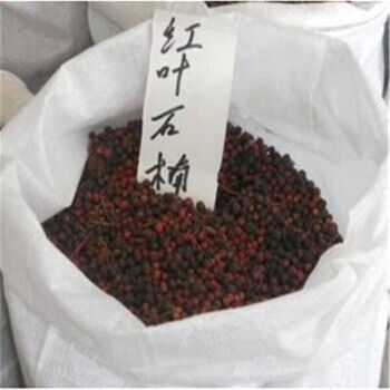 红叶石楠种子石楠球红罗宾 红叶石楠树种子 100克