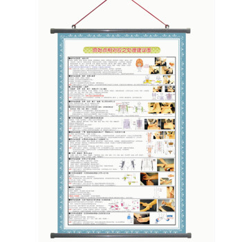 原始点医学挂图结合不求人按摩器红豆袋使用大图57cmx85cm 原始点相对应之处理建议图 挂轴 摘要书评试读 京东图书