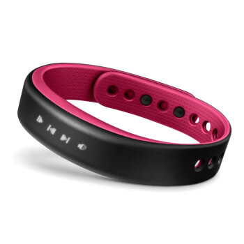 佳明（GARMIN）vivosmart  枚红色 智能运动手环腕带 50米防水 计步器蓝牙 睡眠监测 震动提醒