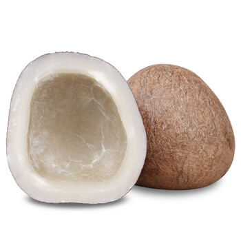 印度椰子皇白玉椰皇新鲜老椰子 500g_ 2折现价30元