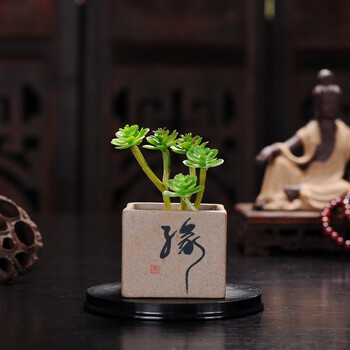 花目蓝花盆陶瓷迷你多肉植物中国风拇指盆粗陶盆器室内肉肉小花盆创意素烧仿古批发 缘 宽57 46mm 图片价格品牌报价 京东