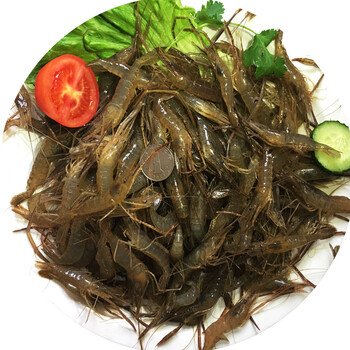品鲜肴 淡水野生小河虾青虾草虾500g(冷冻) 中号1斤冰鲜