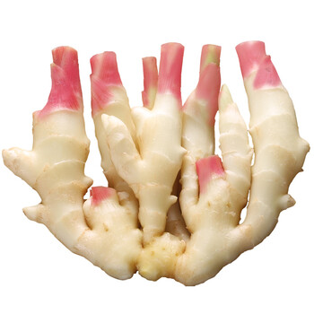 2018年新鲜嫩姜 仔姜红芽鲜姜 生姜子姜山东新鲜蔬菜5斤装包邮