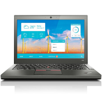 联想ThinkPad X250（20CLA2FJCD） 12.5英寸商务笔记本电脑 超薄本