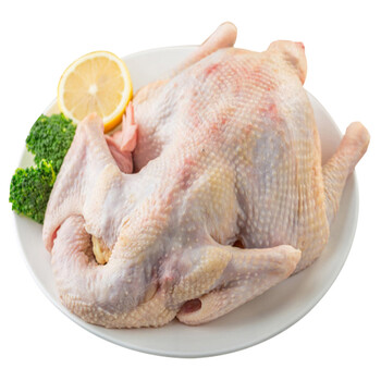 鄱湖晨晖农场 150天散养有机仔母鸡(土黄鸡)约750g 整只装_ 4折现价