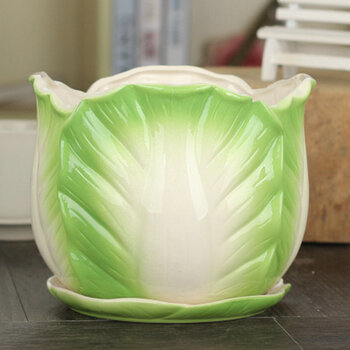 陶瓷花盆 白瓷花盆花瓶花盘带托盘 景德镇品种大小全 盆栽 玉白菜 大