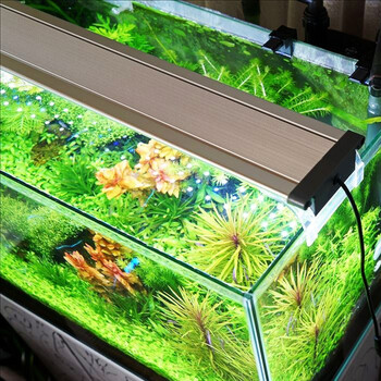 Teedel鱼缸灯水族灯照明灯双排四排高亮度灯架红色光蓝白色光水草灯血鹦鹉锦鲤龙鱼灯led灯超薄